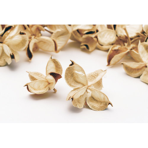 Ebern Designs Handmade Nature Vase Filler Wayfair